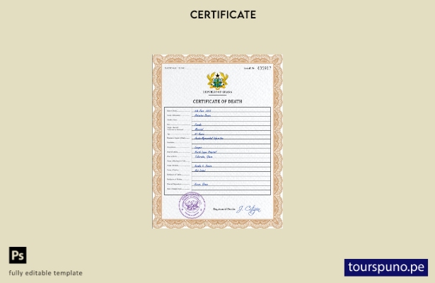 listo para imprimir plantilla PSD del certificado de defunción del registro c 31